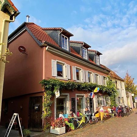 Gruene Pause Apartment Freinsheim Exterior photo